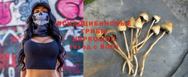 mix Рославль