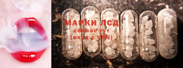 PSILOCYBIN Ельня