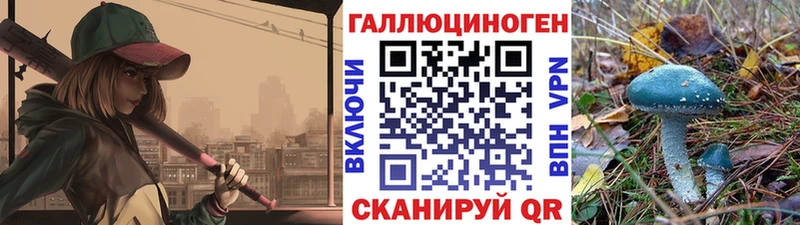 Псилоцибиновые грибы MAGIC MUSHROOMS  Сельцо 